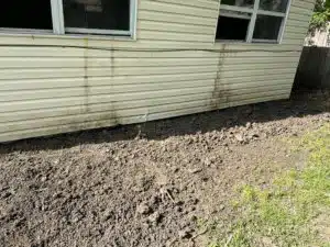 Torn Up Fort Worth Garden