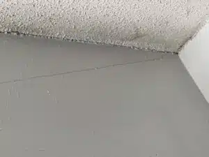 Moldy Ceiling in a Fort Worth Home