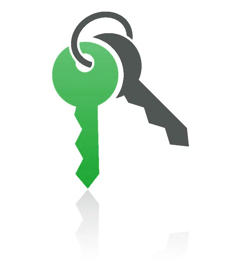 Keys icon